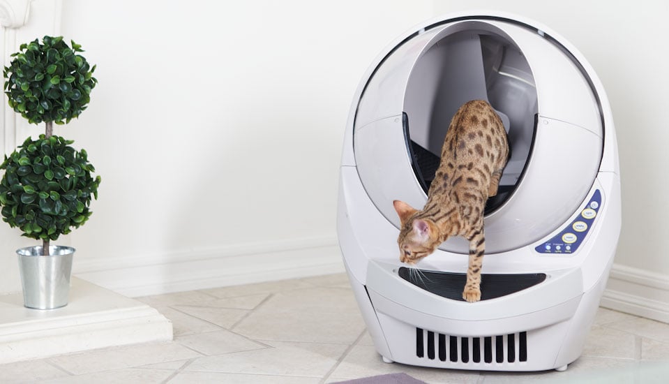 self cleaning litter trays for cats